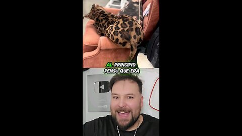 Este perrito parece un LEOPARDO 🤯