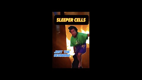 SLEEPER CELLS