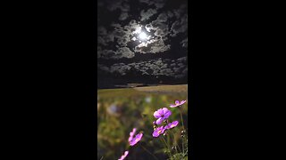 ✨Mental Health Break✨ #viral