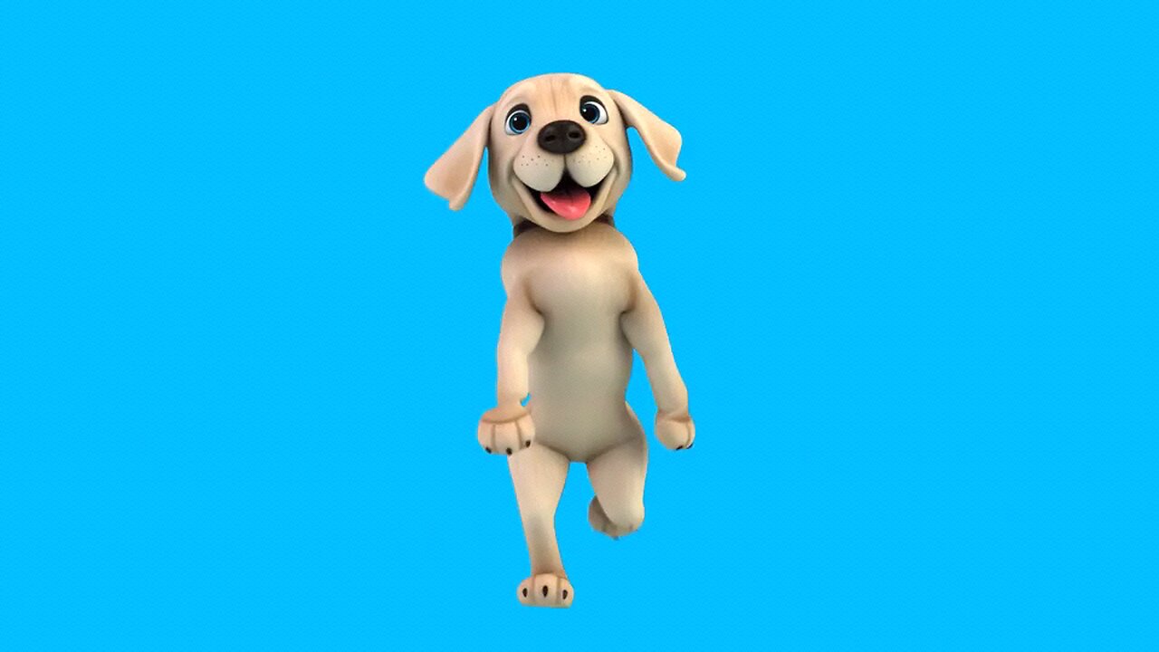dancing dog