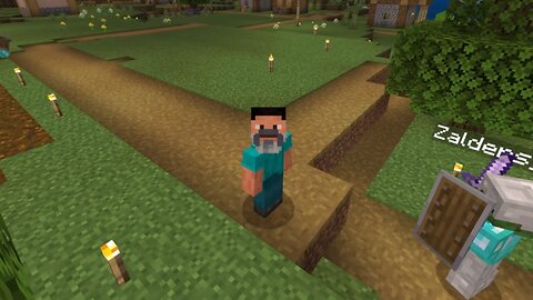 I AM STEVE