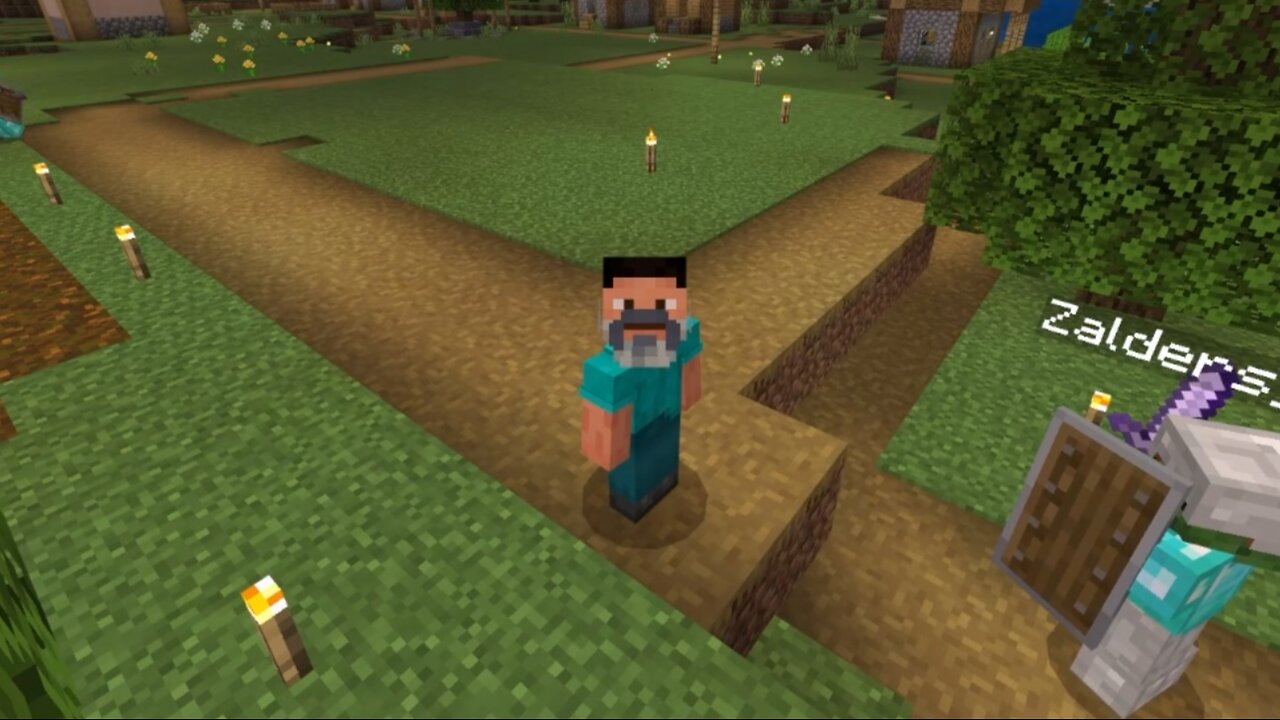 I AM STEVE