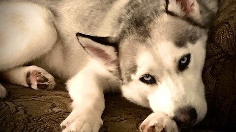 Three Years Together