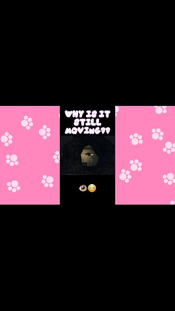 The Eye Knows 👁️