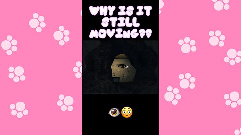 The Eye Knows 👁️