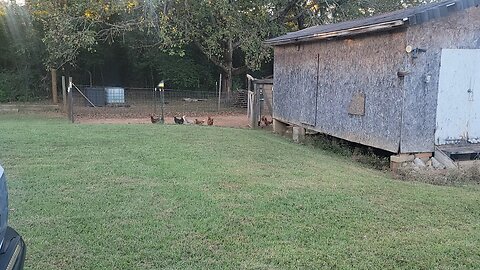 Do my homestead chores with me.