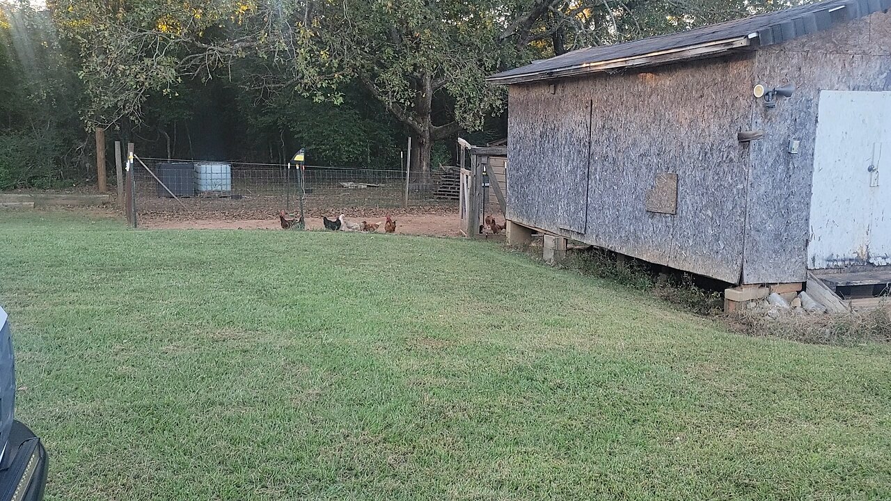 Do my homestead chores with me.