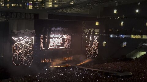 Lady gaga perfect celebrity