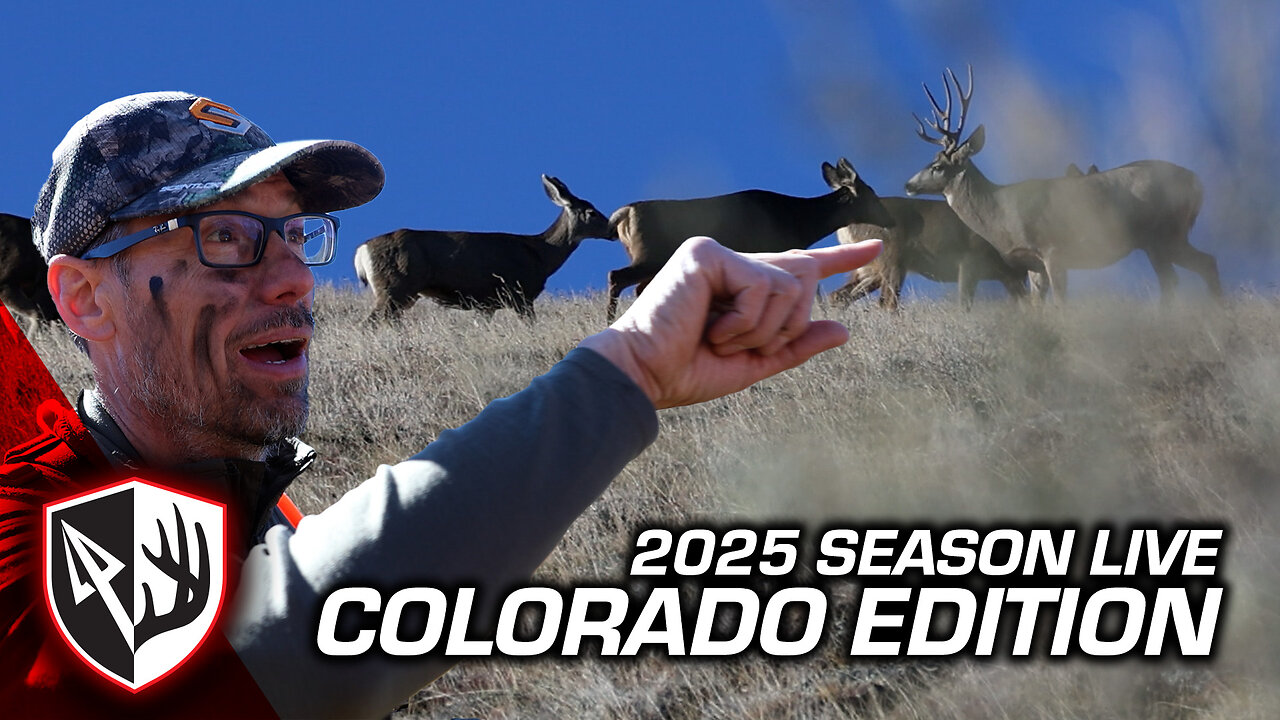 Colorado DIY Mule Deer | Todd's 3 Day Bow Hunt