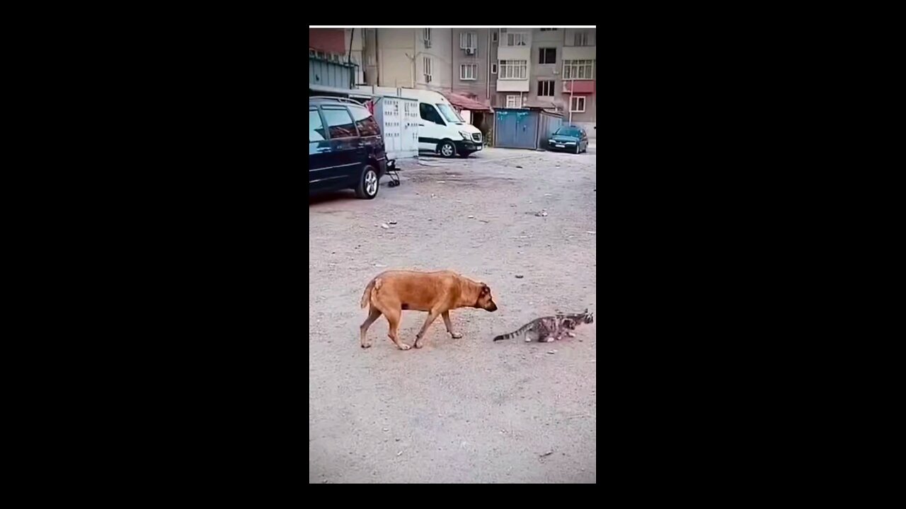 bkboboh