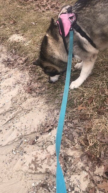 Wednesday March 12, He gave his life to free us