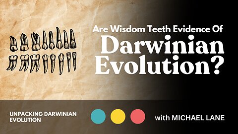 Are Wisdom Teeth Evidence of Darwinian Evolution? | Unpacking Darwinian Evolution 2/4