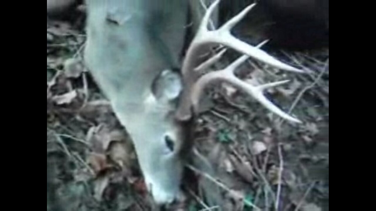 Attempting To Explain The Unexpected End Of Lease