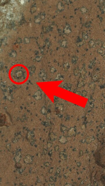 Som ET - 59 - Mars - Perseverance Sol 1188