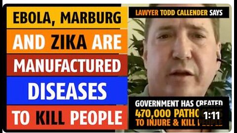 Ebola, Marburg and Zika are manufactured diseases, says lawyer Todd Callender