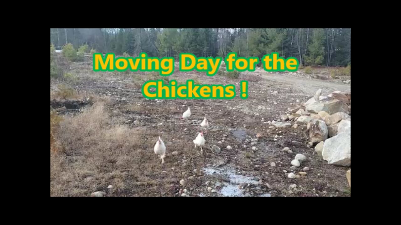 There's always One Troublemaker !