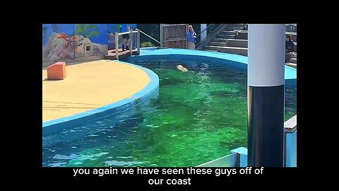 My trip to six flags