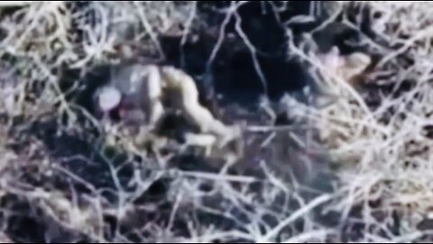 🇷🇺 🏹🎥 The AFU made an attempt to surrender by reaching for his weapon