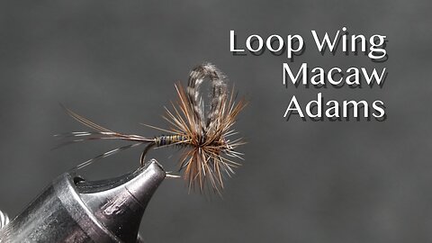 Loop Wing Macaw Adams: an Andre’ Puyans dry fly pattern
