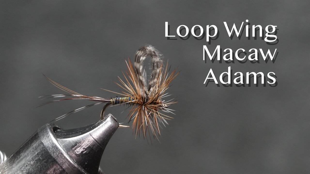 Loop Wing Macaw Adams: an Andre’ Puyans dry fly pattern