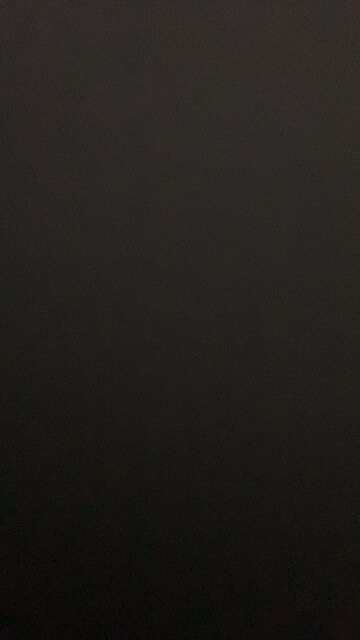 Bird flu conspiracy theory