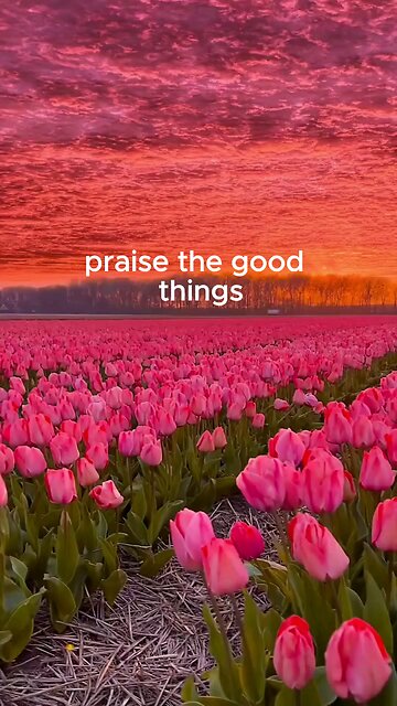 praise the good