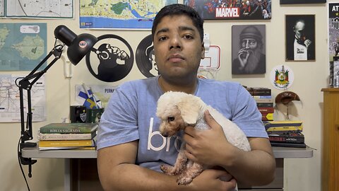 Quase DEGOLARAM meu Dog | Petshop Carinho Pet no Bairro Bonfim em Porto Alegre