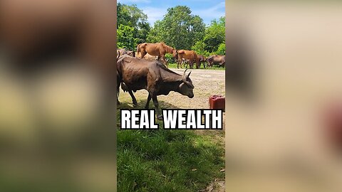 This is the REAL Economy: Hard Work and Self-Sufficiency in Rural Cuba.