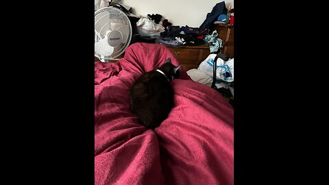 Ah sleep is good and to top it off Pearl fights it out with Noel