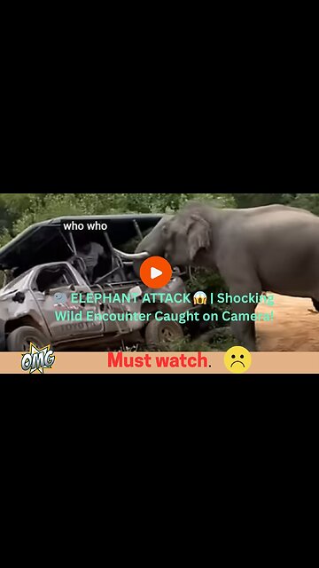 🐘 ELEPHANT ATTACK 😱 | Shocking Wild Encounter Caught on Camera!