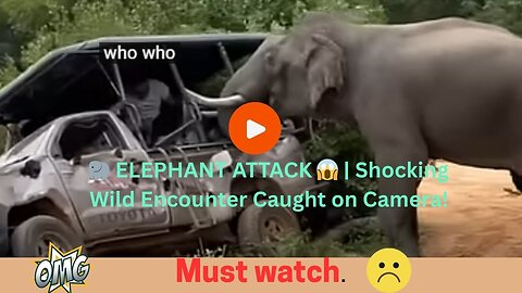 🐘 ELEPHANT ATTACK 😱 | Shocking Wild Encounter Caught on Camera!