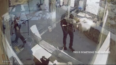 Israel Today-Suppressed Video of Ultra Zionists Raiding Palestine Homes-Louis Theroux’s The Settlers