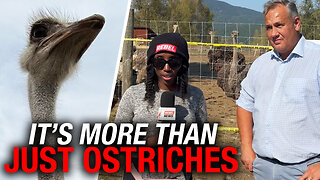 Federal Party leader links B.C. Ostrich battle to Freedom Convoy fight
