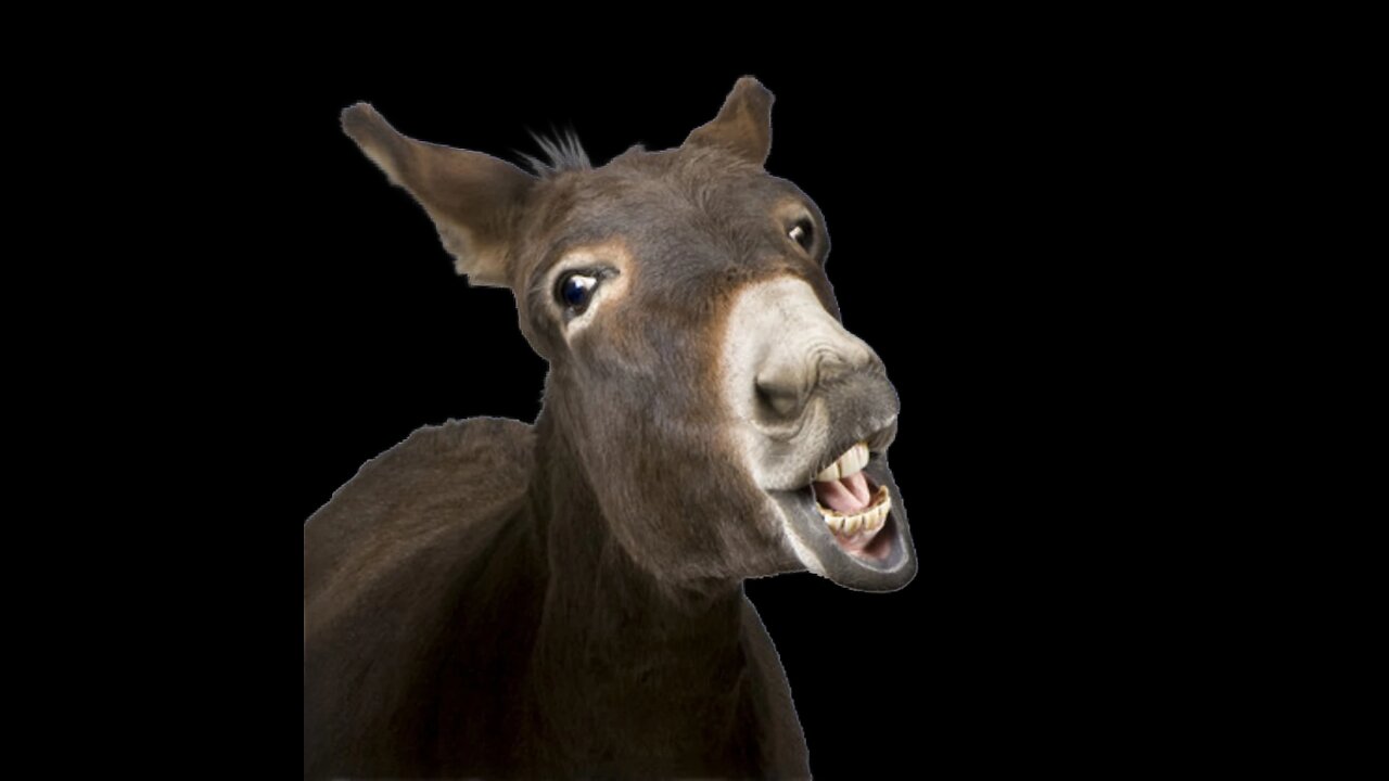 TFD Daily'z Stream#184 TROUBLE ...need help or A-mods? AMA