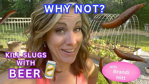 WHY NOT: How To Kill Slugs With Beer