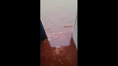 🌪🇯🇲 Storm surge recorded in Frenchman's Bay, Treasure Beach, Jamaica.