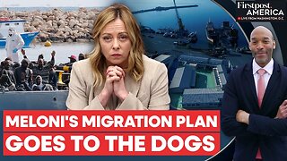 Stray Dogs Replace Migrants in Meloni's $1 Billion Albania Experiment | Firstpost America