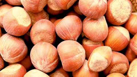 Moonlit Lofi House Dreams