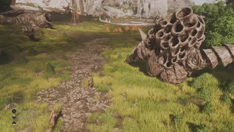 Understanding the Canvas | E33