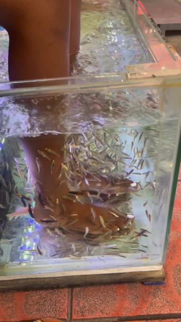 Girlfriend Gets Fish Pedicure In Bangkok
