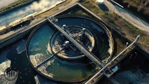 Доктор Энди Кауфман Что, Если Вы Заболеваете не От Вирусов Беседа с Даниэлем Ройтасом