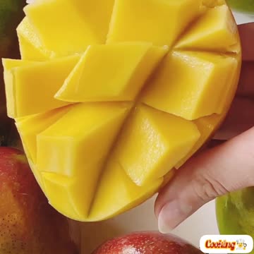 The Great chef👨‍🍳 cooking videos