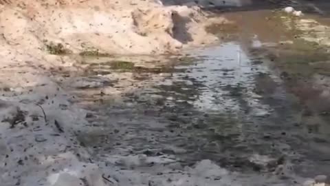 🇿🇦SOUTH AFRICA