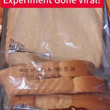 UNEXPECTED BREAD GONE VIRAL!