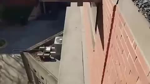 Breaking: Was not expecting the front flip hanging tech at all! #parkour