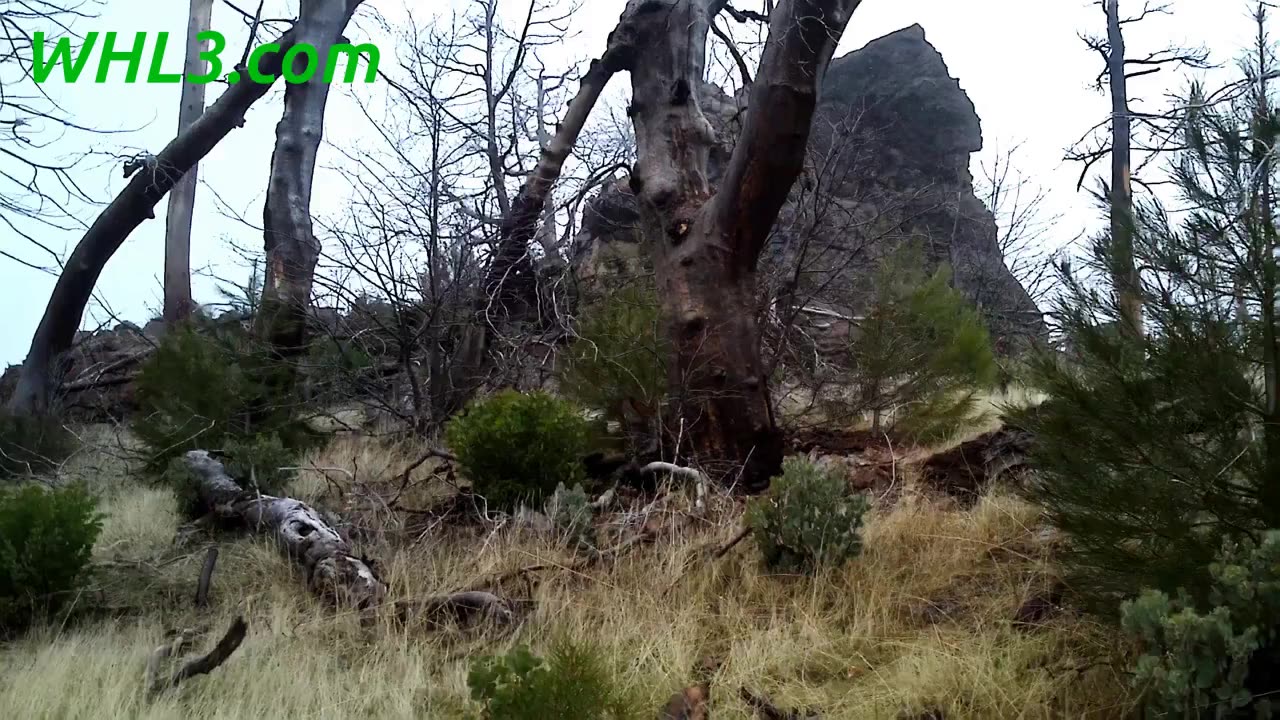 Pinnacle Rock Mendocino National Forest