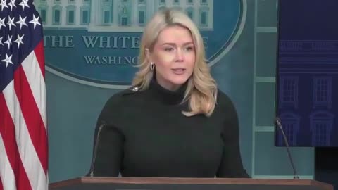 Karoline Leavitt GOES OFF on Democrats for their inflammatory rhetoric causing