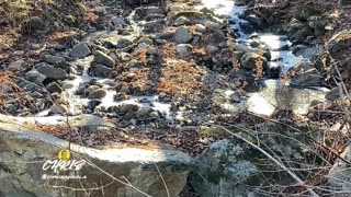 LISTENING TO A FROZEN RIVER!