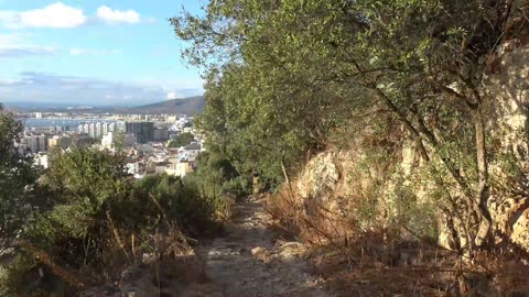 Gibraltar rock, Barbary Macaques, the City and Dolphin Adventures 28th Set 5th Oct 2025