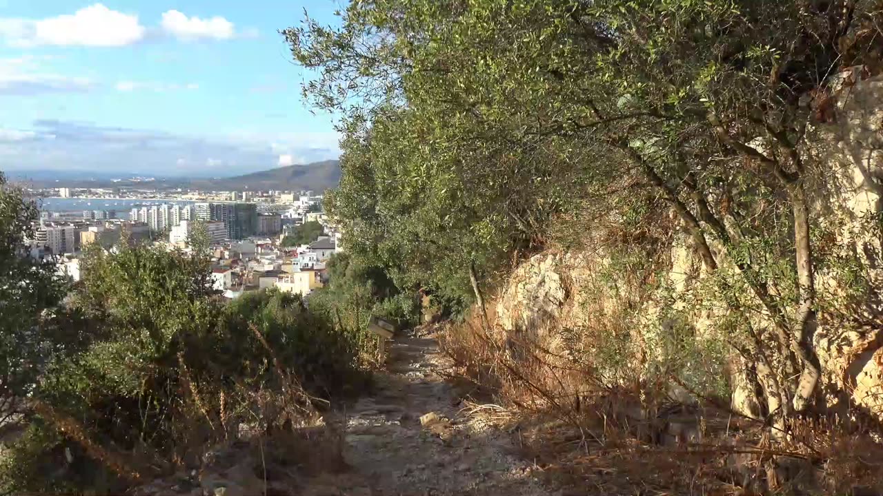 Gibraltar rock, Barbary Macaques, the City and Dolphin Adventures 28th Set 5th Oct 2025